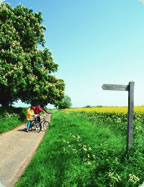 Energy performance certificate... climate change levy... renewables obligation... carbon reduction... are YOU on the right path?